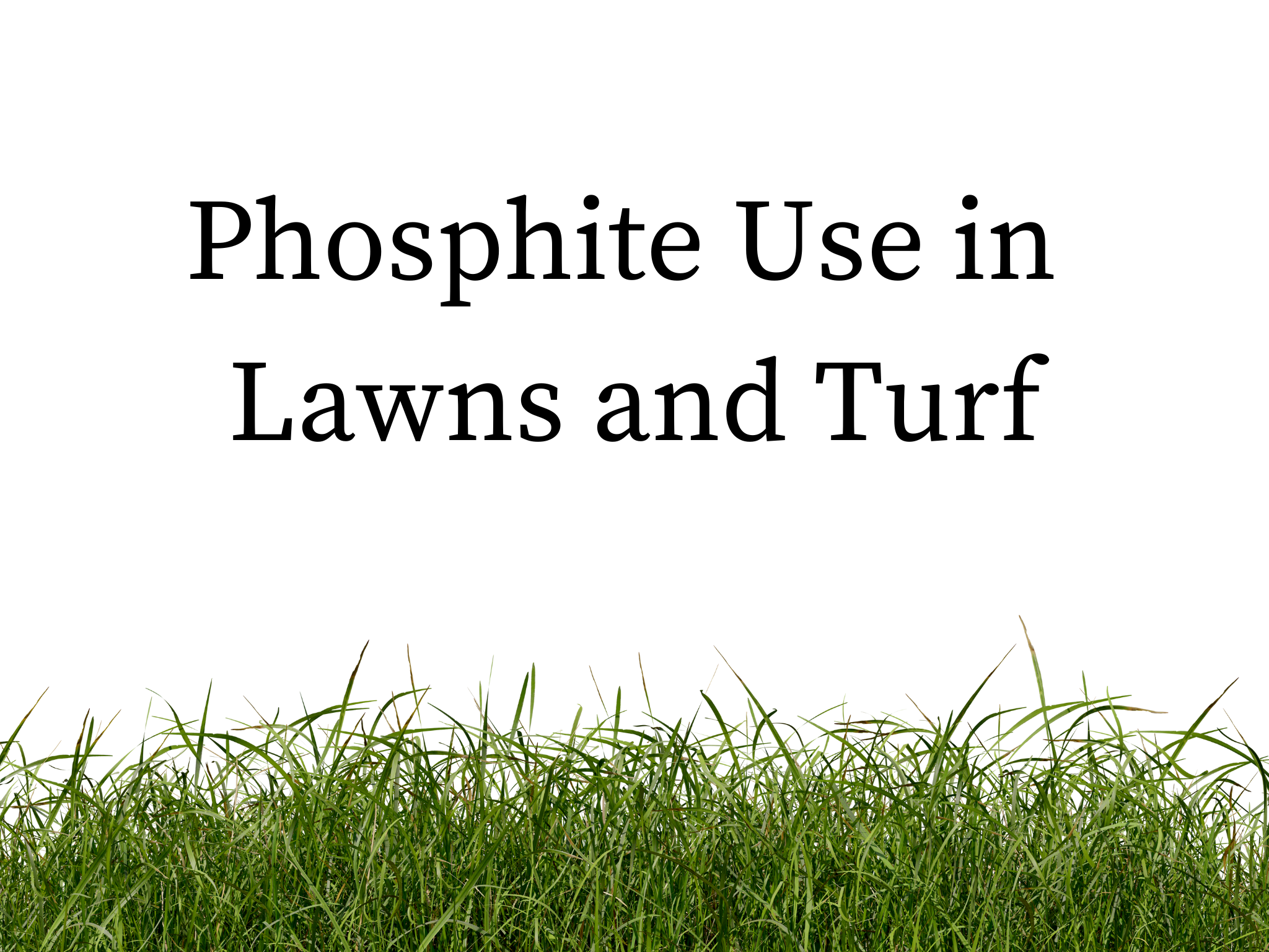 Phosphite Use in Lawns and Turf: A Powerful Tool for Promoting Health and Resilience