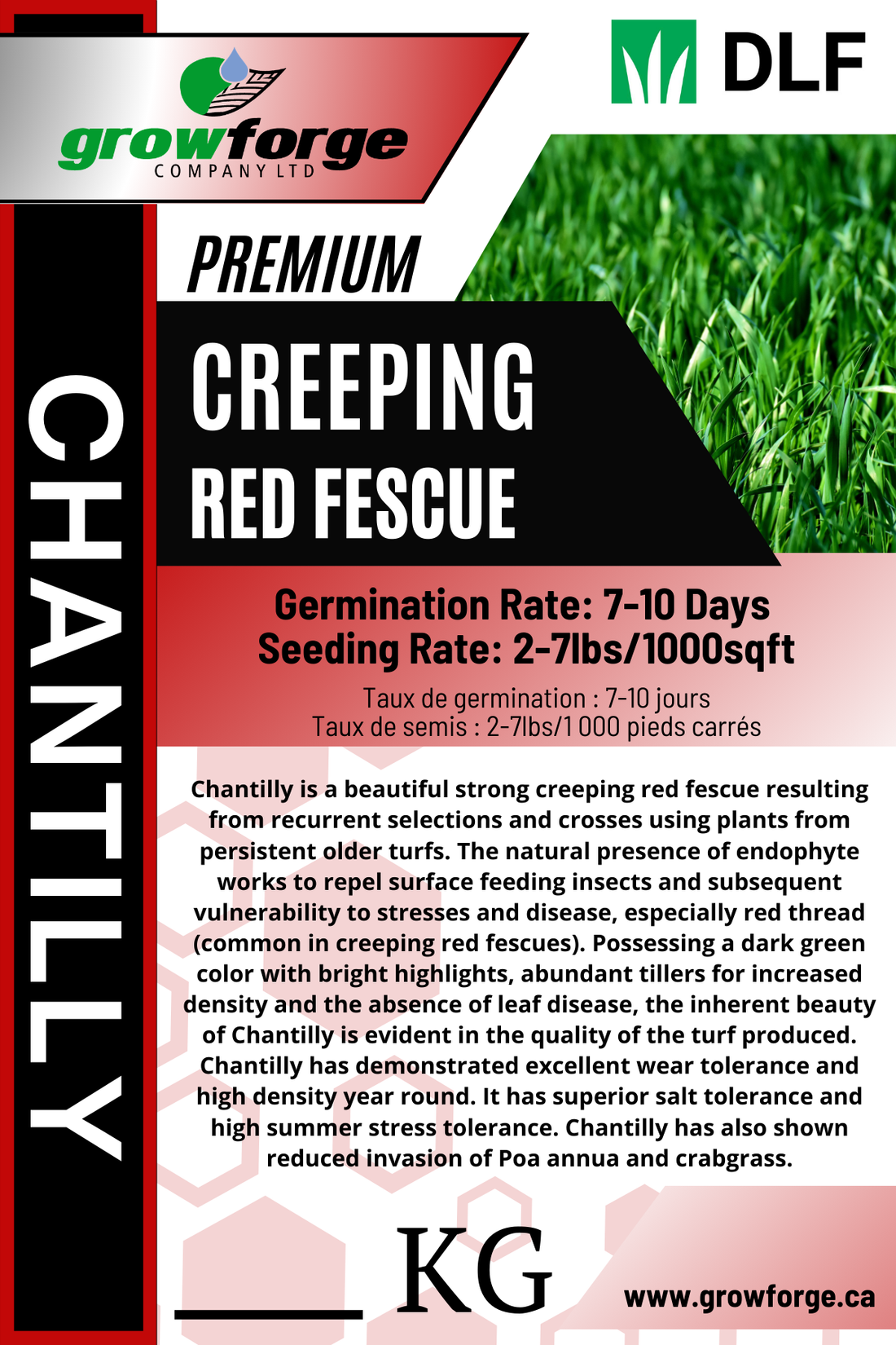 Chantilly - Creeping Red Fescue 1KG - Growforge