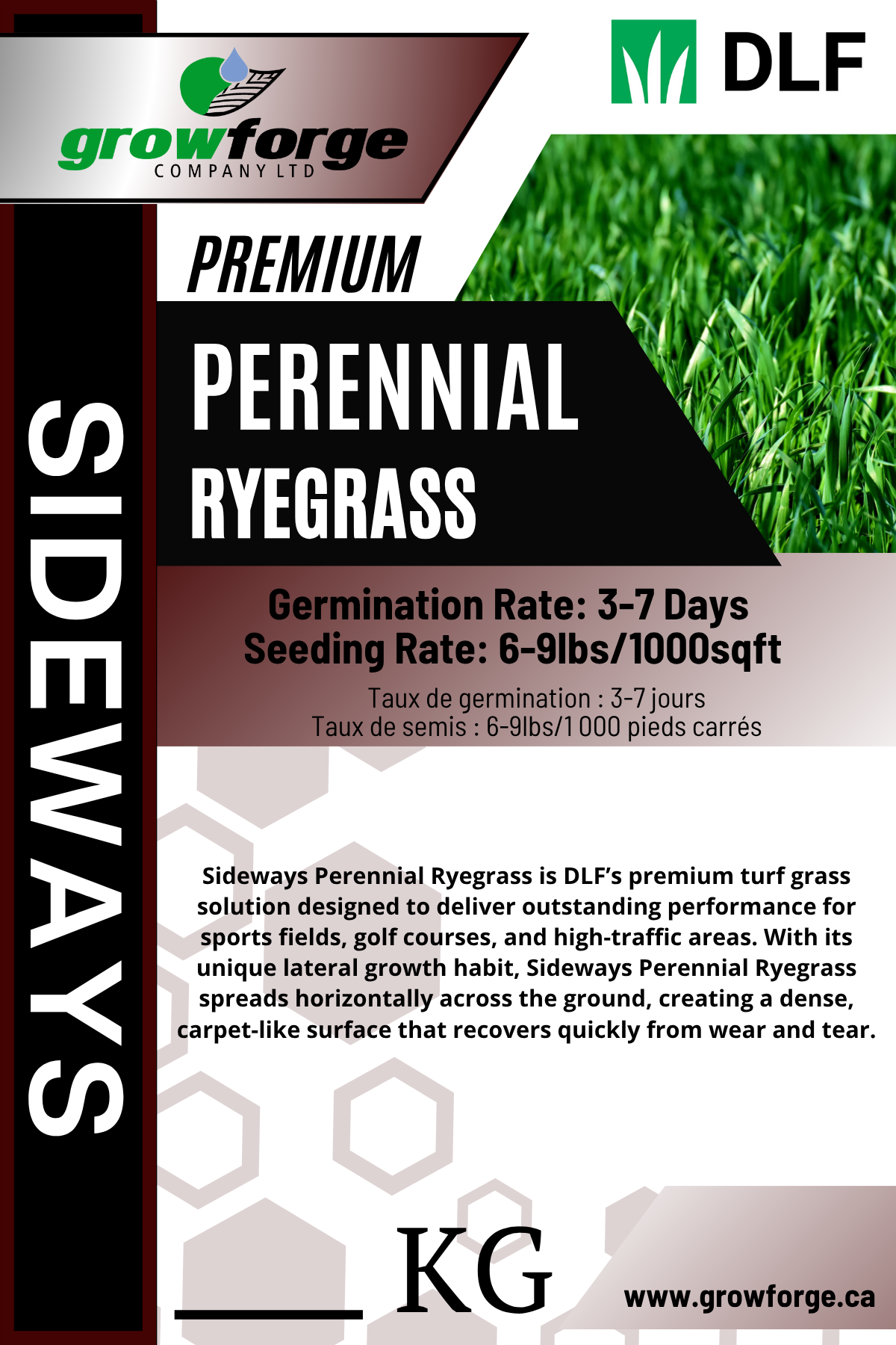 Sideways - Perennial Ryegrass - 1KG