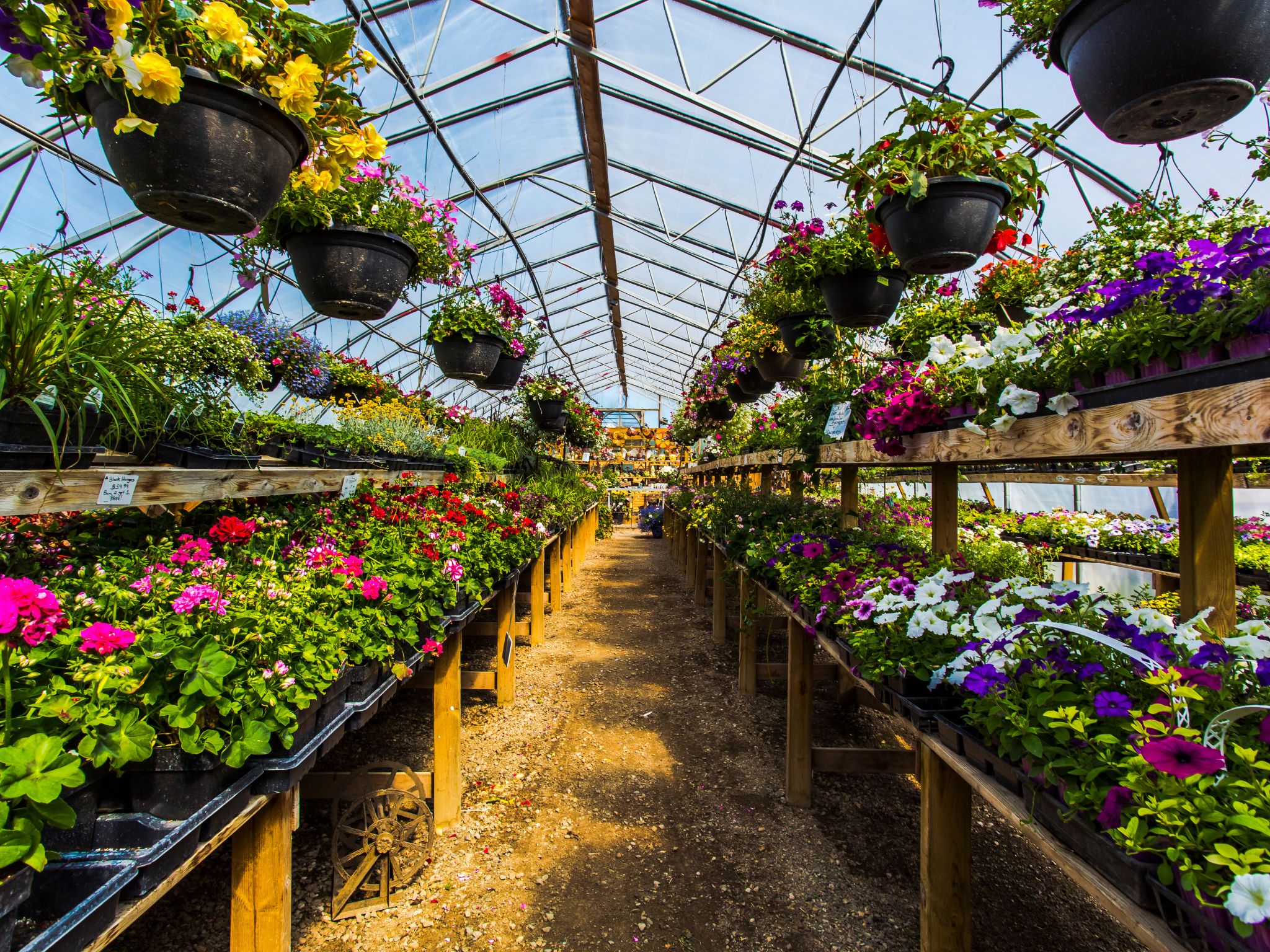 Liquid Fertilizers in Commercial Greenhouse