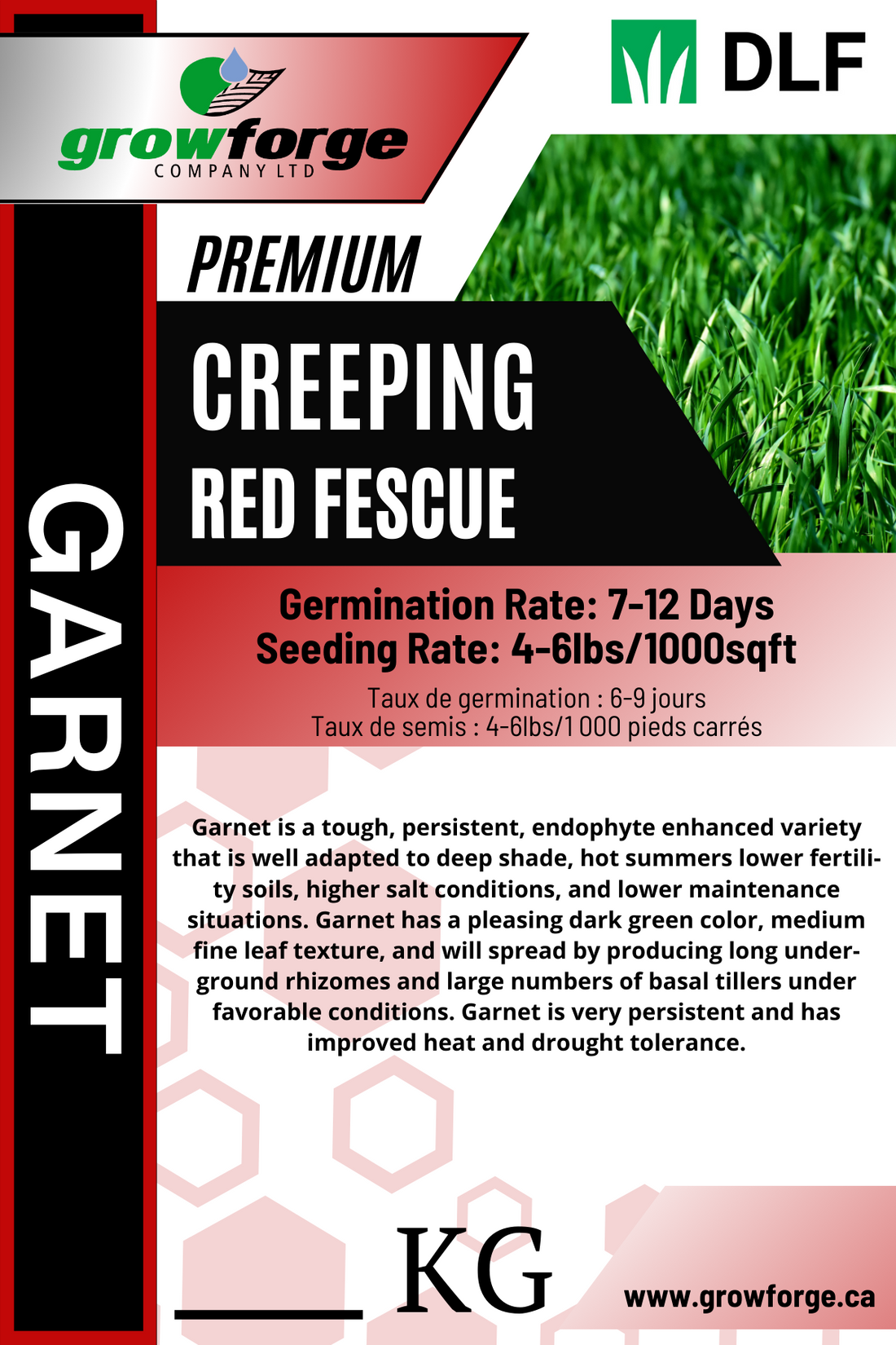 Garnet - Creeping Red Fescue 1KG - Growforge