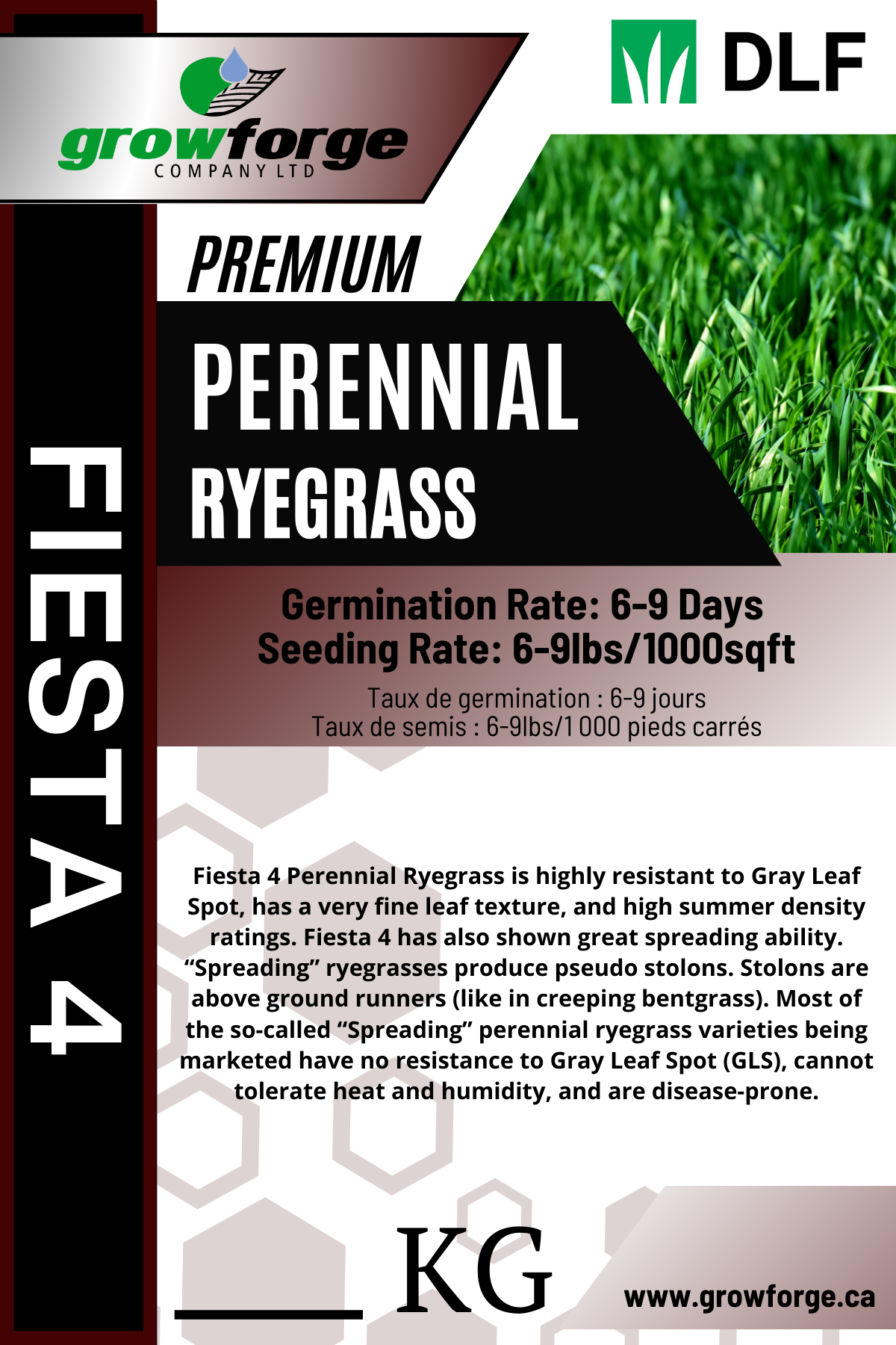 Fiesta 4 - Perennial Ryegrass - Growforge
