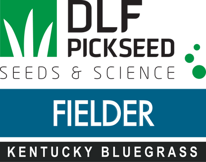 Fielder Shamrock Type - Elite Bluegrass - Growforge