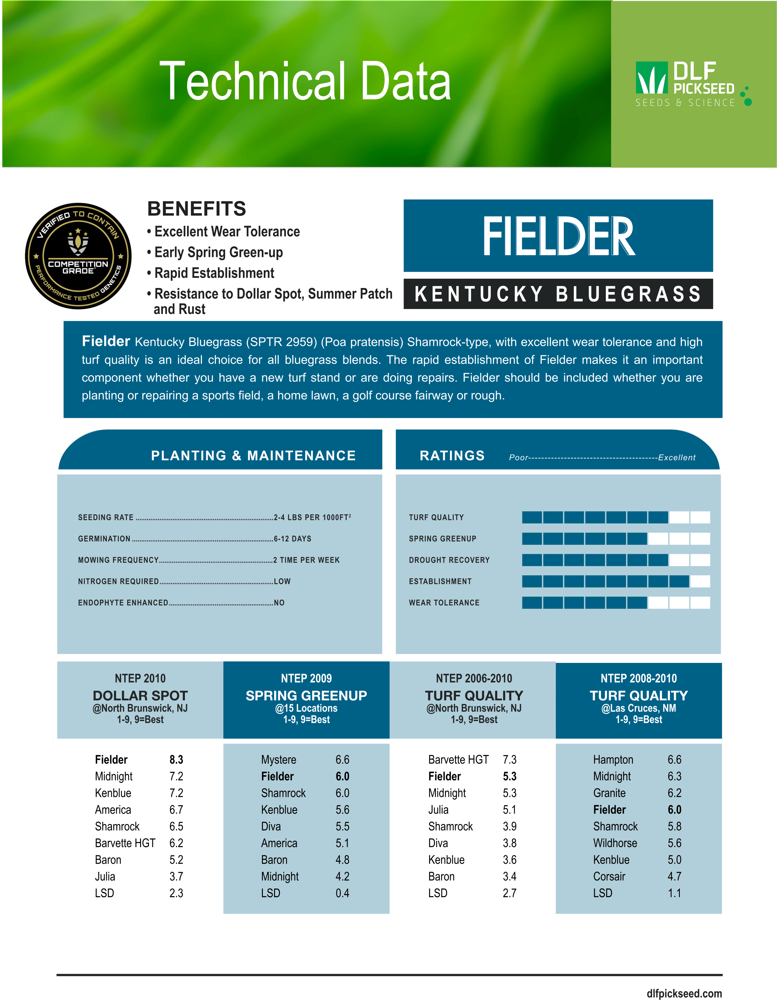 Fielder Shamrock Type - Elite Bluegrass - Growforge