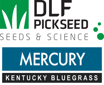 Mercury America Type - Elite Bluegrass - Growforge