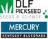 Mercury America Type - Elite Bluegrass - Growforge