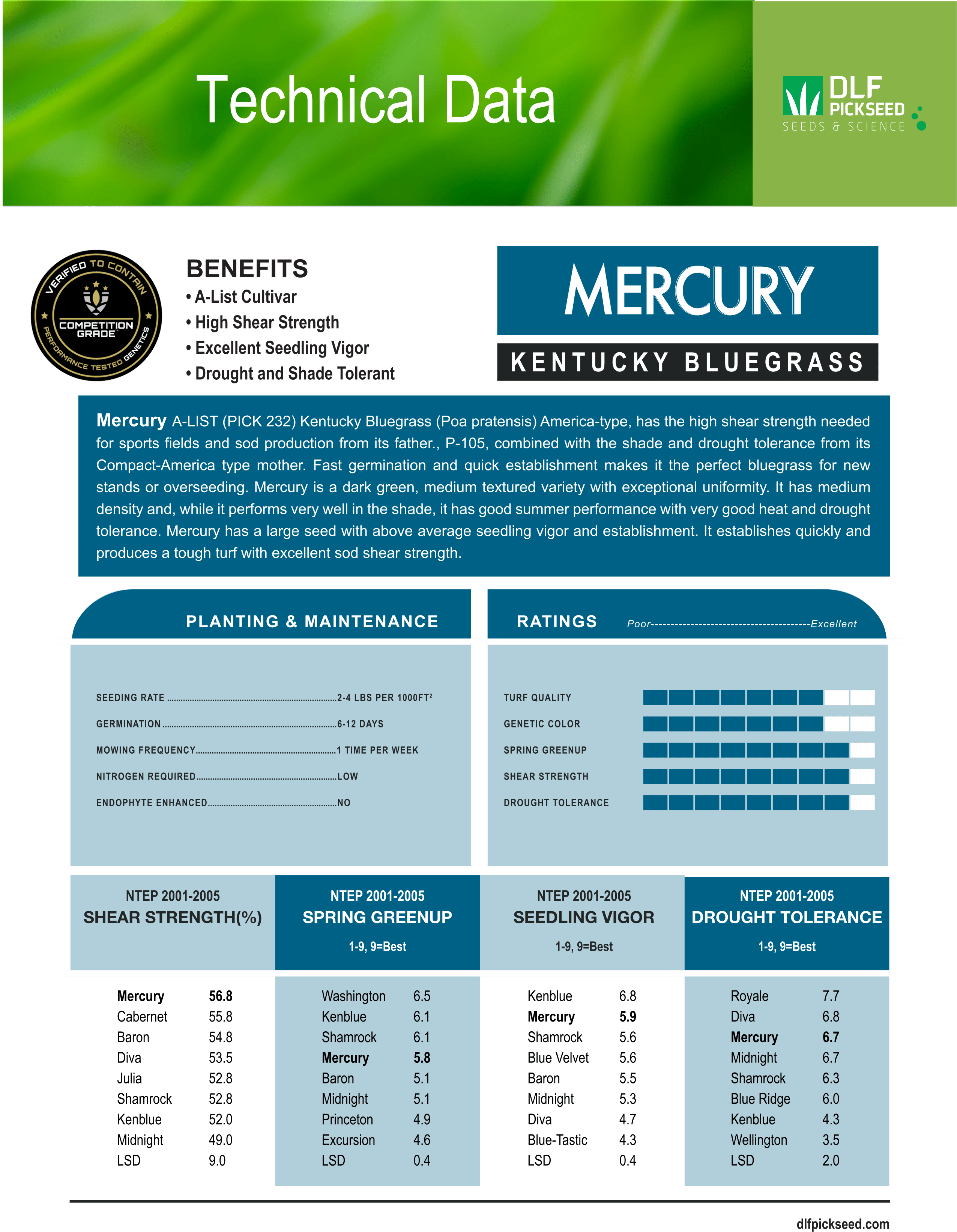 Mercury America Type - Elite Bluegrass - Growforge